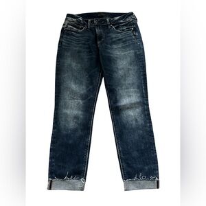 Silver Jeans Elyse Skinny Sz 29